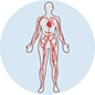 Vascular Surgery
